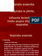 Respiratia Anaeroba