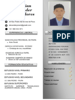 CV Profesional - Yman Flores