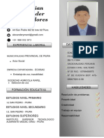 Curriculum Vitae Profesional - Yman Flores1