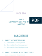 BIOL 286 LAB 4 Metamorphosis and Internal Structures