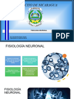 Fisiologia Neuronal 22