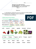 Evaluare U6