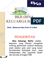 BKB (Bina Keluarga Balita)