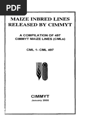 Maize Inbred Lines Released by Cimm:Yt | PDF | Cereals | Maize