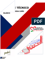 Informe Tecnico Diagnostico Trapiche