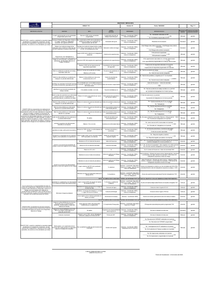 Cuadro de Objetivos y Metas Fagato | PDF | Business