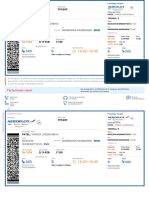 Boardpass Patel 2024-Feb-19 Svo