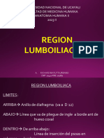 Reg. Lumboiliaca 2023 Ii