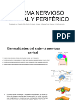 Sistema Nervioso Central y Periférico