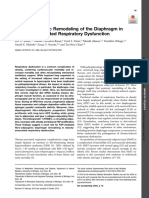 Vdocuments - MX Fibro Adipogenic Remodeling of The Diaphragm in Obesity