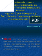 Стадії Патогенезу Синдром Системної Запальної Відповіді Руйнаці