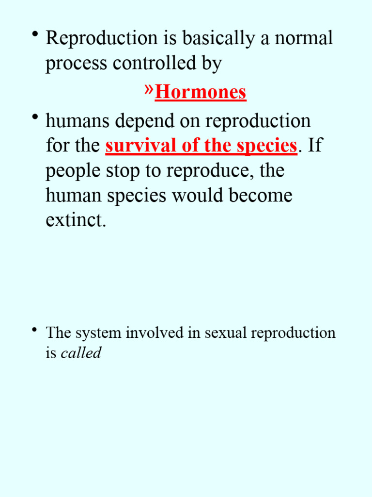 MALE Reproductive System 1 | PDF | Reproductive System | Semen