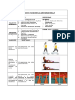 Ficha Prevencion de Lesiones