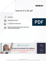 Apuntes Anatomía Aparato Respiratorio y Digestivo. Temas 26. 27 y 28. (8 Pag.)