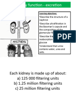 Kidney Function - Excretion