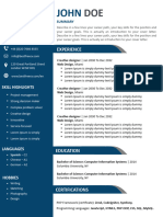 Formato para CV Profesional