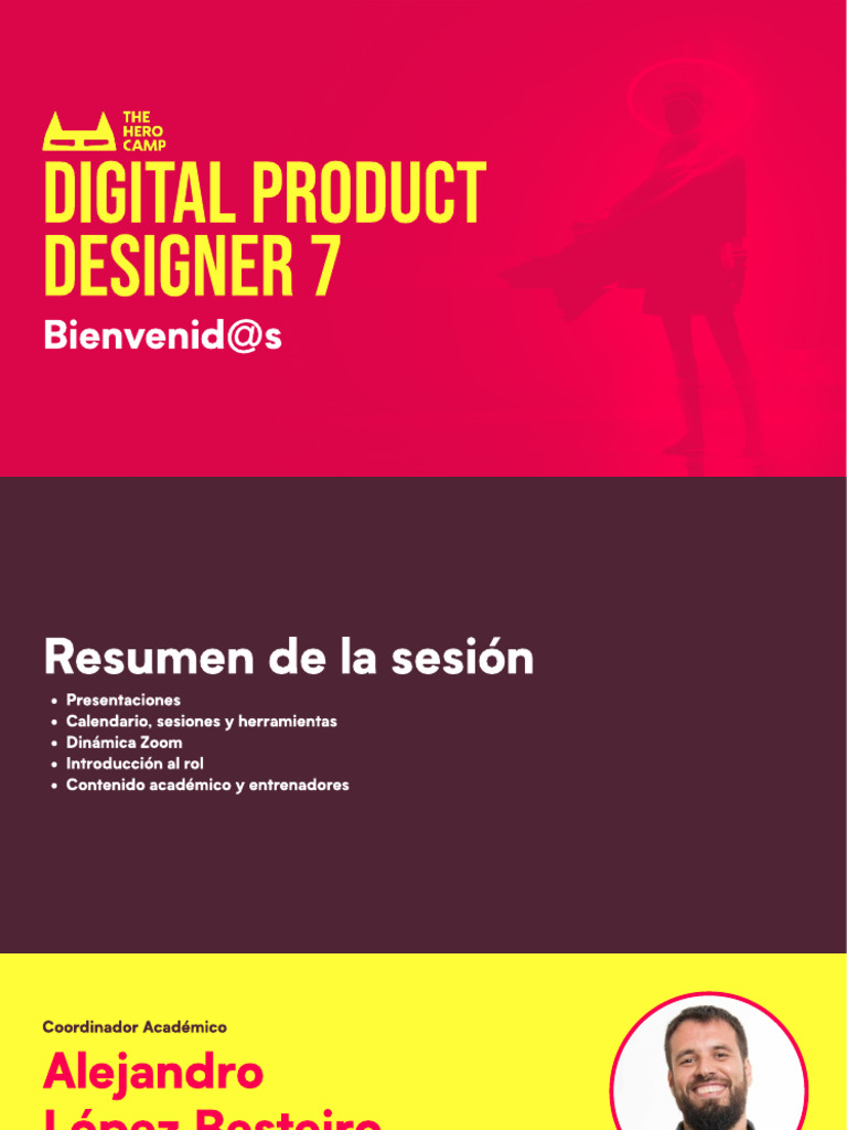Introducción Rol DPD7 | PDF