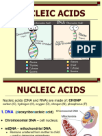 12 LS Structure of DNA and RNA