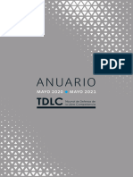 TDLC Anuario 2021