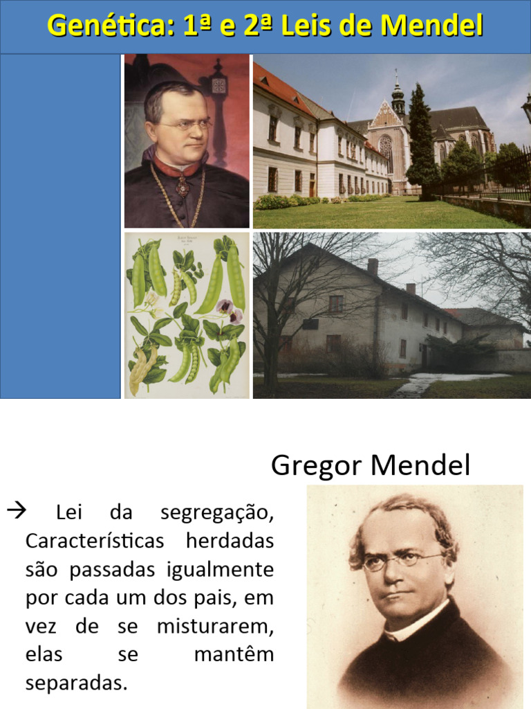 Leis de Mendel na Genética | PDF | Dominância (genética) | Genótipo