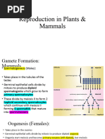 Reproduction in Mammals & Plants