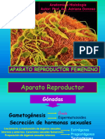 Aparato Reproductor Femenino