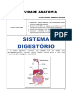 Sistema Digestorio