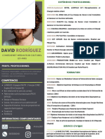 Copia de CV Artistique David Rguez