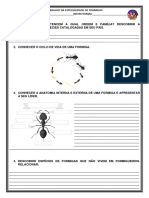 02 - Trabalho Da Especialidade de Formigas