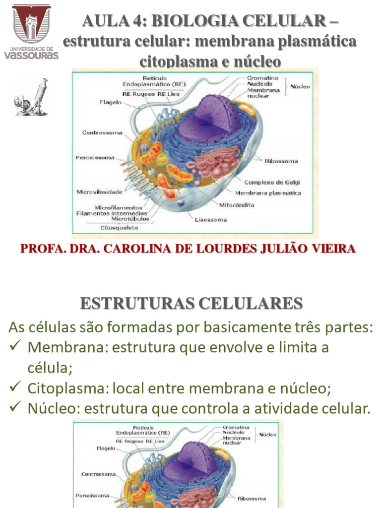 AULA 4 BIOLOGIA CELULAR Estrutura Celular Membrana Plasmática ...