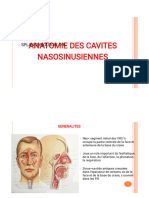 Anatomie Des Cavites Nasosinusiennes 2024