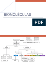 Biomoléculas