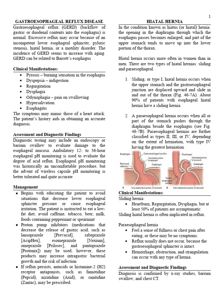 Understanding GERD and Esophageal Disorders | PDF | Esophagus ...