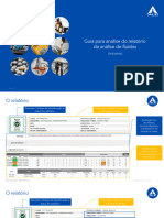 Guia Do Relatório - Analise de Fluidos Industriais - v01