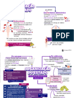 Organizacao-Do-Estado