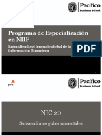 Nic 20 - Programa Niif 2023