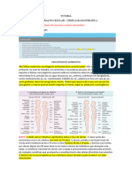 4 - Tutoria Neoplasia Pancreatica