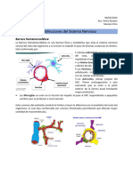 Infecciones Del Sistema Nervioso