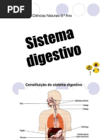 Sistema digestivo