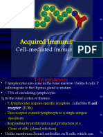 Cell-Mediated Immunity