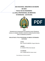 Universidad Nacional Amazónica de Madre de Dios Facultad de Ingenieria Escuela Profesional de Medicina Veterinaria - Zootecnia