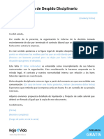 14 Carta de Despido Disciplinario