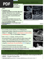 Buku Ajar Usg Dasar Pdf