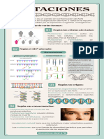 Infografía Laboratorio de Ciencias Minimalista Verde y Beige