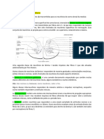 Dor - Fisiopatologia