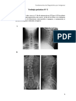 Trabajo Práctico #5