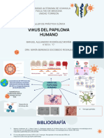 Virus Del Papiloma Humano