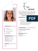 Currículum Vitae CV Diseñadora y Arquitecta Minimalista Rosa