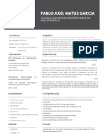 Professional CV Resume