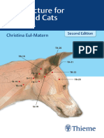 Acupuncture For Dogs and Cats A Pocket Atlas 2nbsped 313243454x 9783132434547 Compress